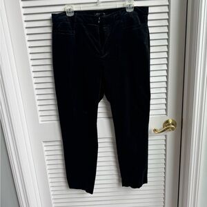 Women’s  Black velvet pants